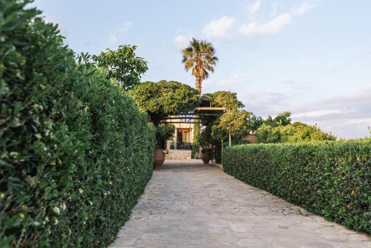 Villa Repsimia With Private Jacuzzi Kokkinos Pirgos Exterior foto